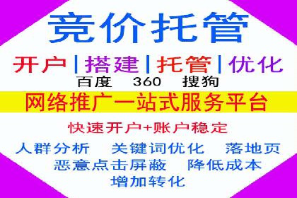 百度运营推广策略：成功案例解析